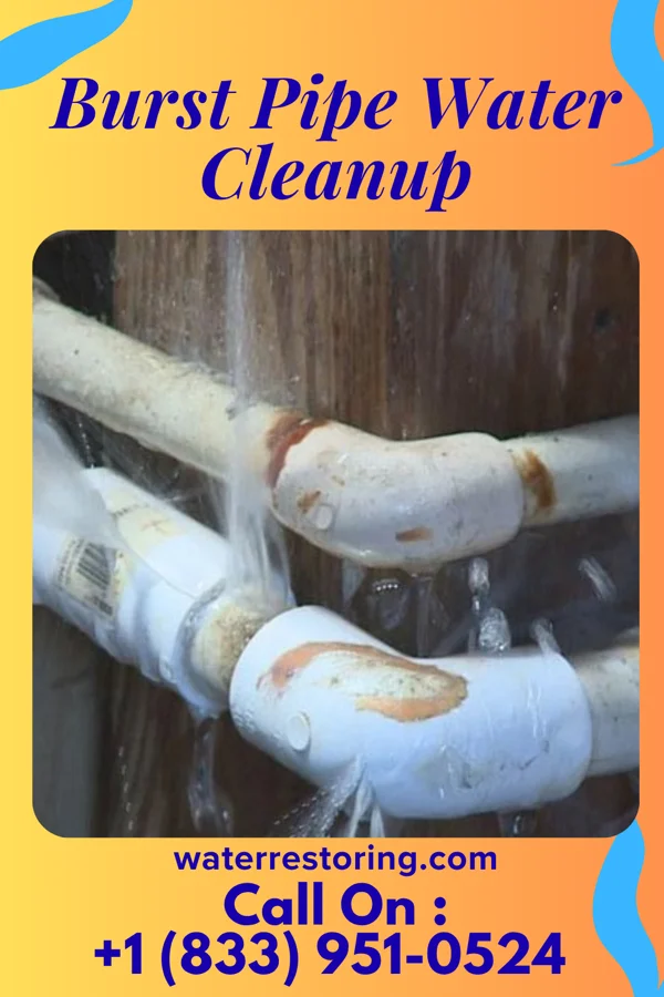 Burst Pipe Water Cleanup in Warminster Heights, PA