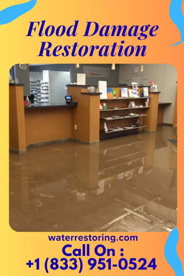 Flood Damage Restoration in Warminster Heights, PA