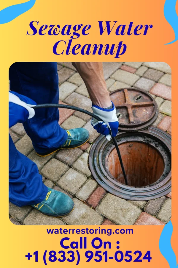 Sewage Water Cleanup in Warminster Heights, PA